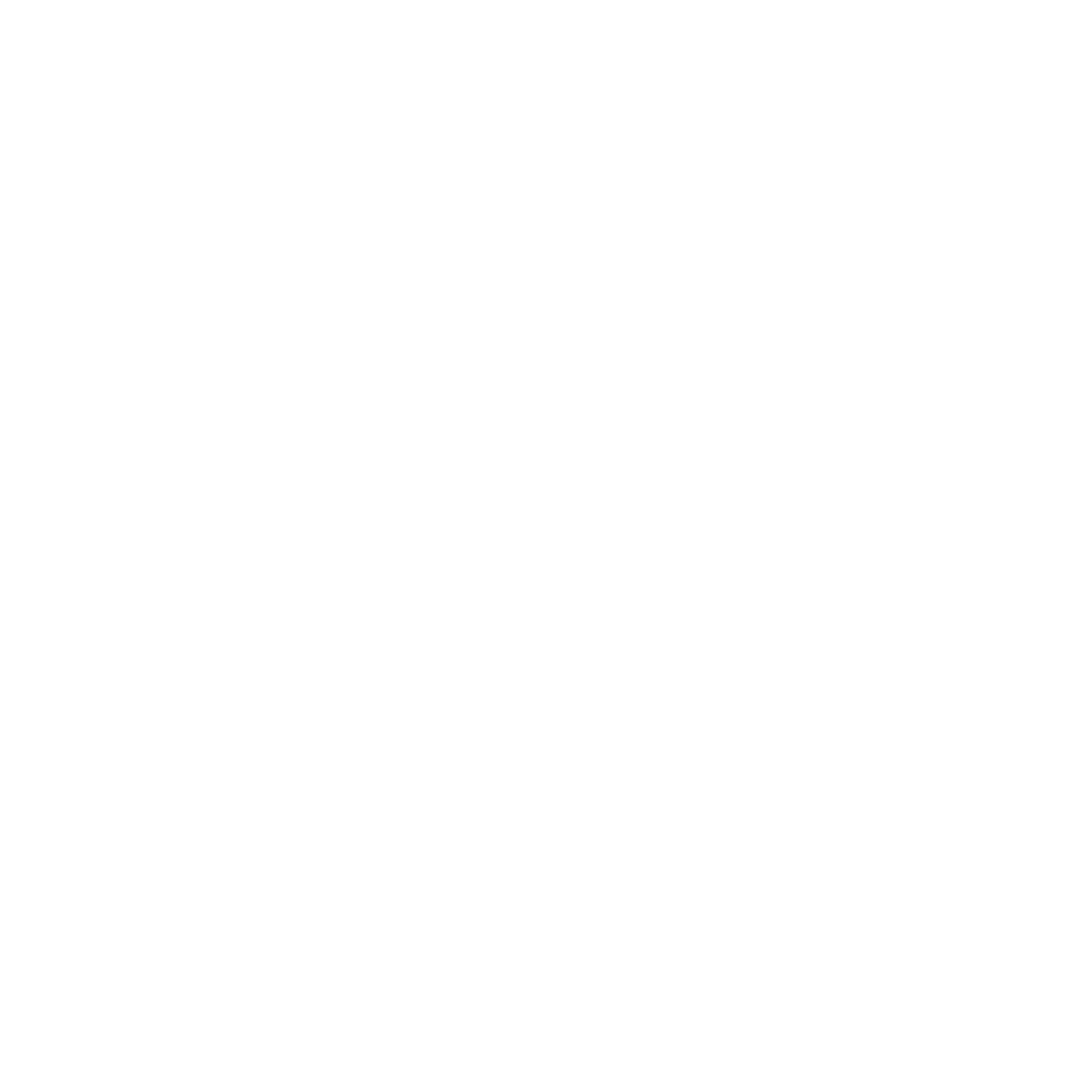 DUCATI TOPCAR